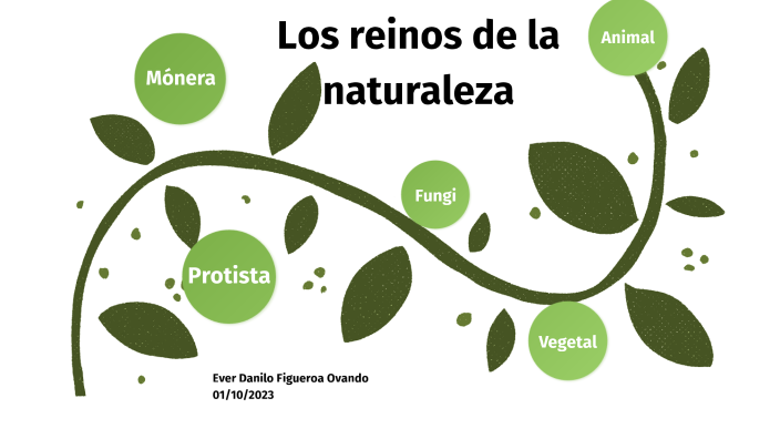 Reinos de la naturaleza by Ever Danilo Figueroa Ovando on Prezi