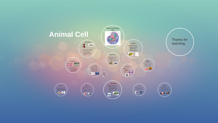 Animal Cell by Drew Stockel on Prezi