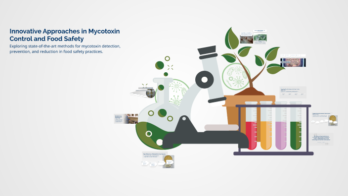 Innovative Approaches in Mycotoxin Control and Food Safety by Prof-Noah ...