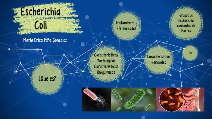 Escherichia Coli by kika González on Prezi