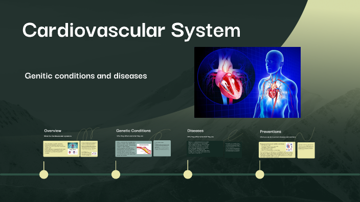 Cardiovascular System by Evelyn Hay on Prezi