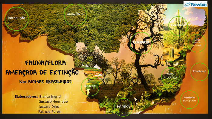 Biomas Brasileiros by Jussara da Silva Lima on Prezi