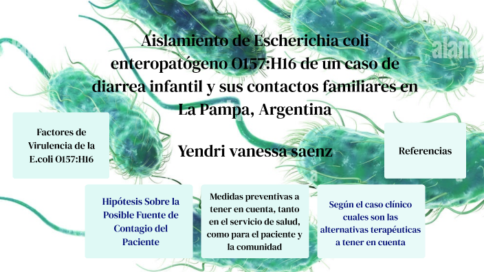 Aislamiento de Escherichia coli enteropatógeno 2 O157:H16 de un caso de ...