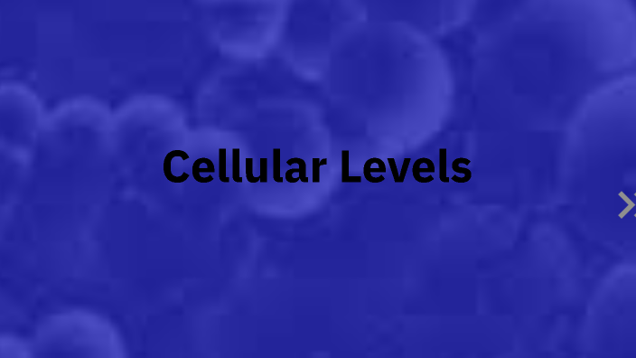 Cellular Level Project by Noel Klein on Prezi
