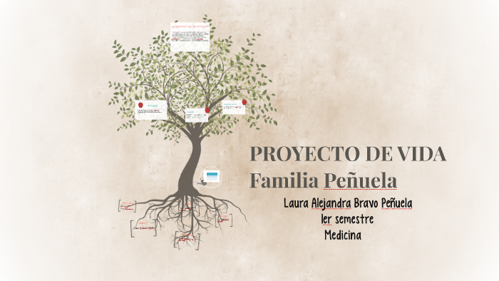 PROYECTO DE VIDA by Laura Bravo