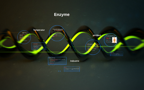 Temperaturabhangigkeit Der Enzymwirkung By Leonie Pysall