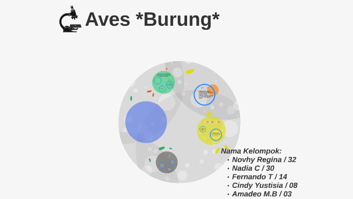 Aves Burung By Novhy Regina On Prezi