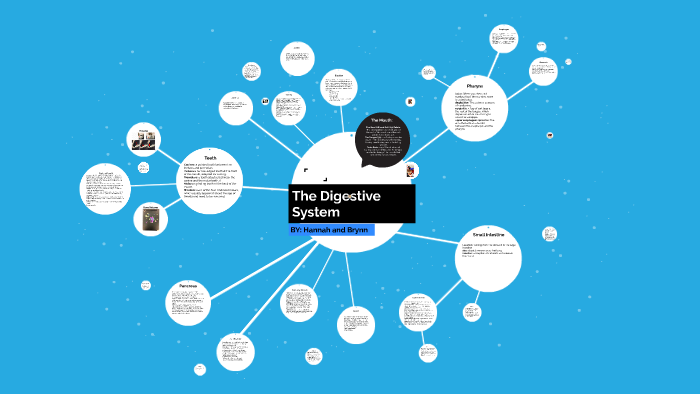 The Digestive System by Hannah Hawthorne on Prezi
