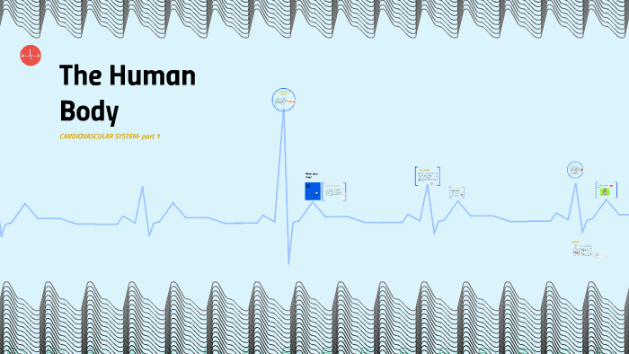 The Human Body by Emma Robertson on Prezi