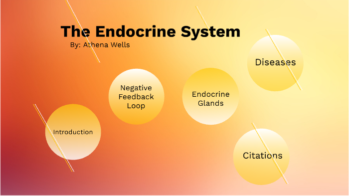 The Endocrine System by athena wells on Prezi