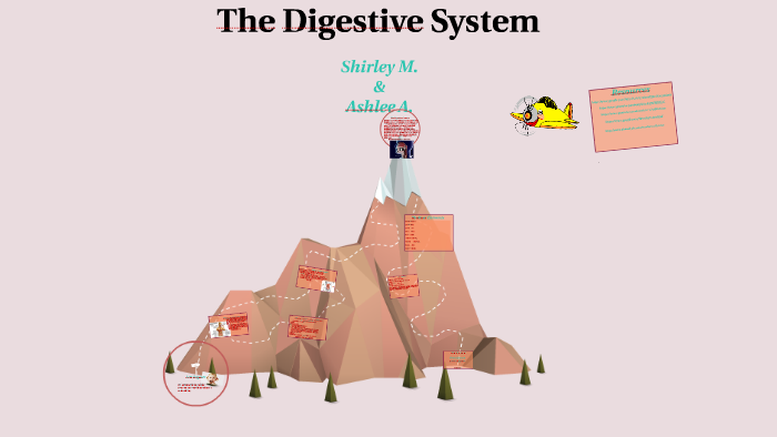 The Digestive System by Ashlee Alexander on Prezi