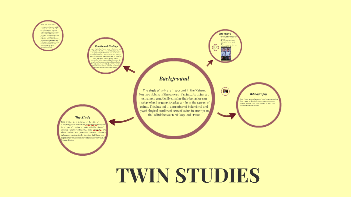Test of the Twins by Margaret Weis Test of the Twins by Margaret Weis