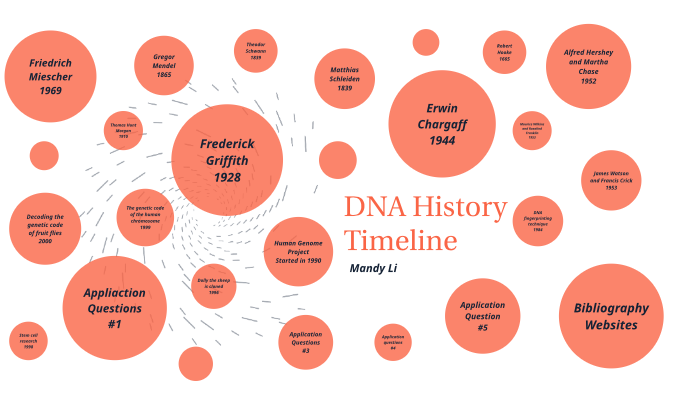 dna-history-timeline-by-mandy-li