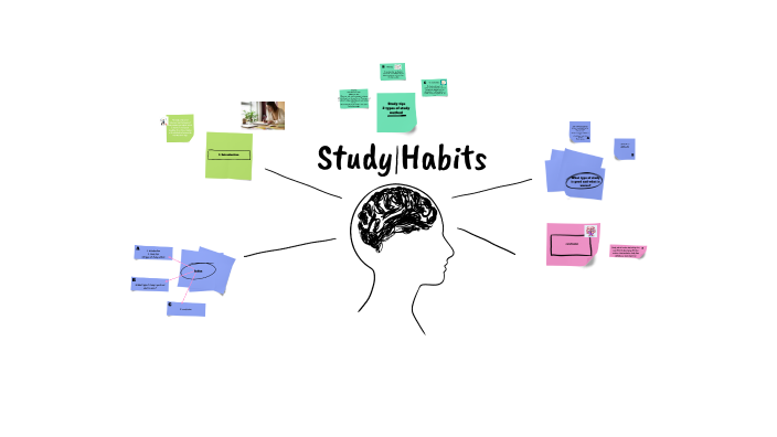 study habits by marina guijarro velasco on Prezi