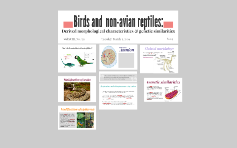 Birds And Non Avian Reptiles By Jessie Gonzalez