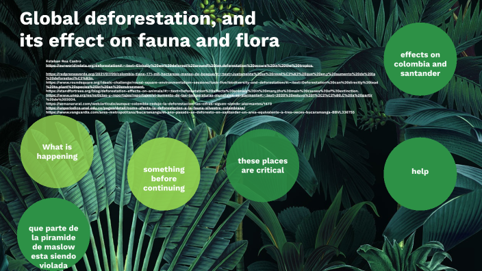 Global problem by Esteban Roa on Prezi