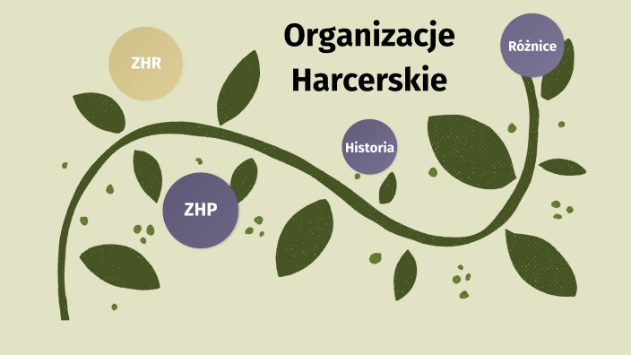 róznice między zhr a zhp by OLa Latawiec on Prezi