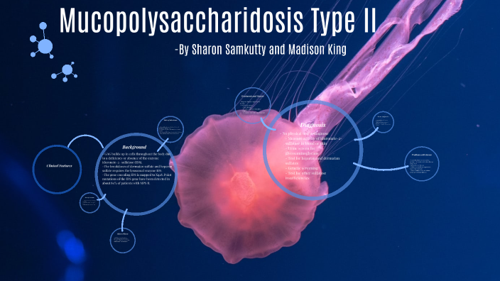 Mucopolysaccharidosis Type Ii By Sharon Samkutty On Prezi 