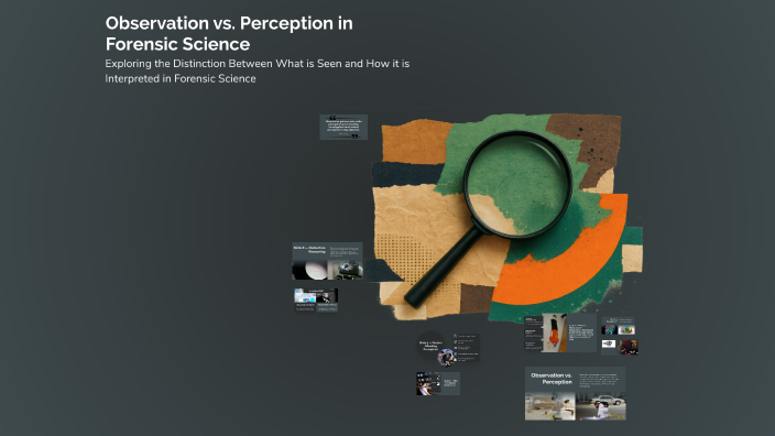 Perceived Observation Observation vs. Perception in Forensic Science by Brad Kirkwood on Prezi