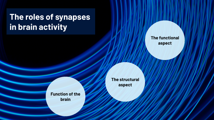 Synapses by Anita Gurdziołek on Prezi