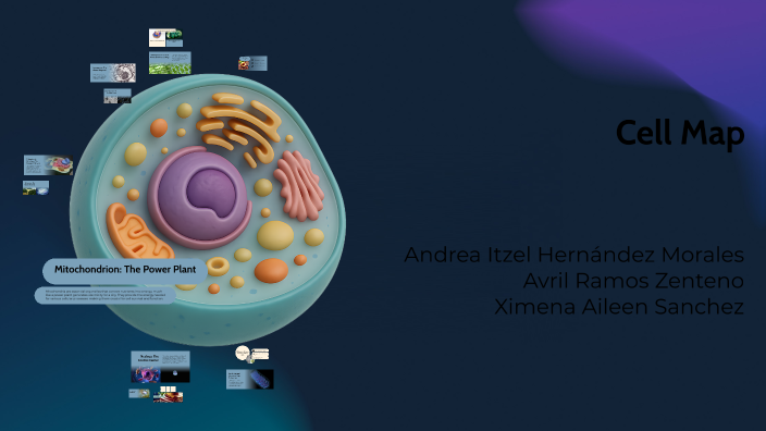 Interactive Cell Map: Exploring Organelles and Their Functions by ...