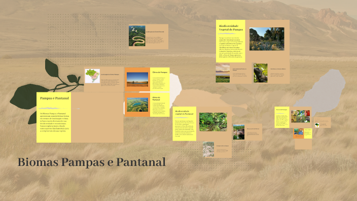 Biomas Pampas e Pantanal by sofia vago on Prezi