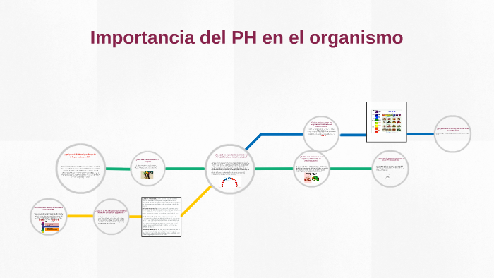 Importancia del PH en el organismo by valeria Herrera on Prezi Next