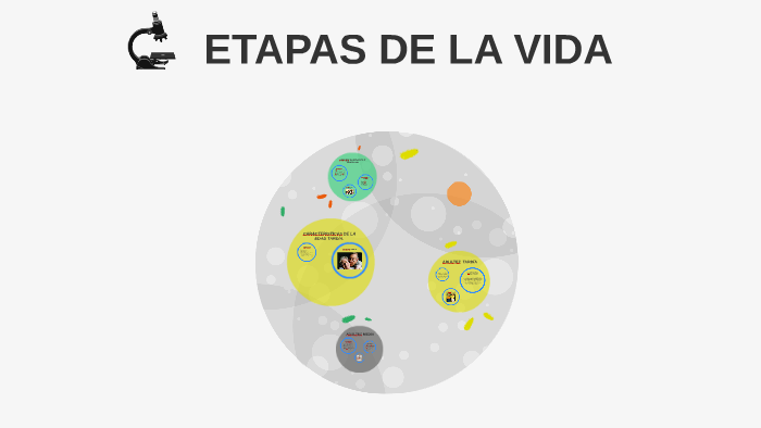ETAPAS DE LA VIDA by Rosalva Muñoz on Prezi