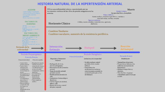 Historia Natural de la Hipertensión Arterial by Mateo Ezequiel Lozano