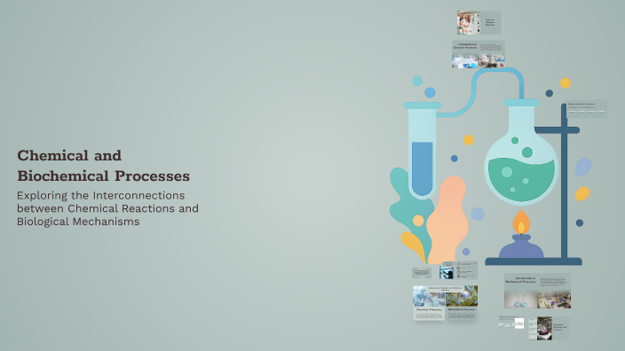 Chemical and Biochemical Processes by Yuni Hasrita on Prezi