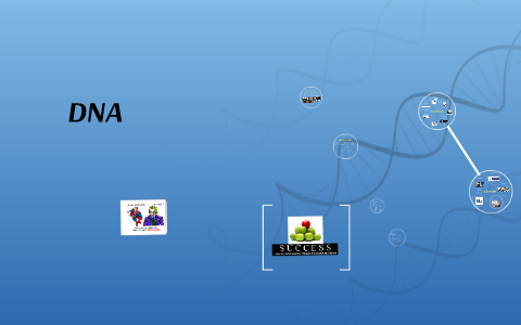 DNA by Dina Kahwaji on Prezi