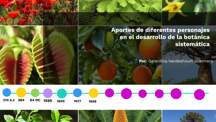 Aporte De Diferentes Personajes En El Desarrollo De La Botánica Sistemática By Gerardina 2353