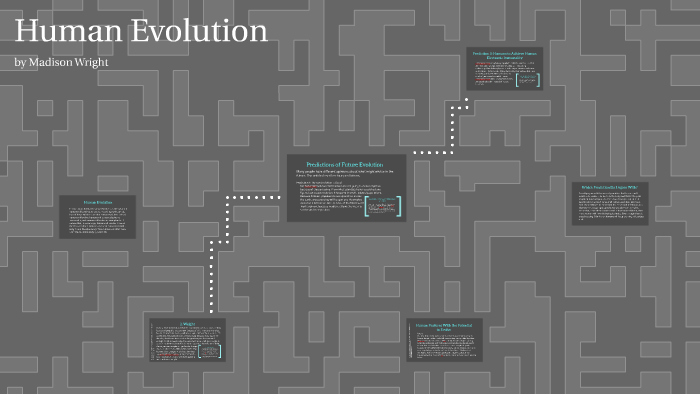 Human Evolution by Madison Wright on Prezi