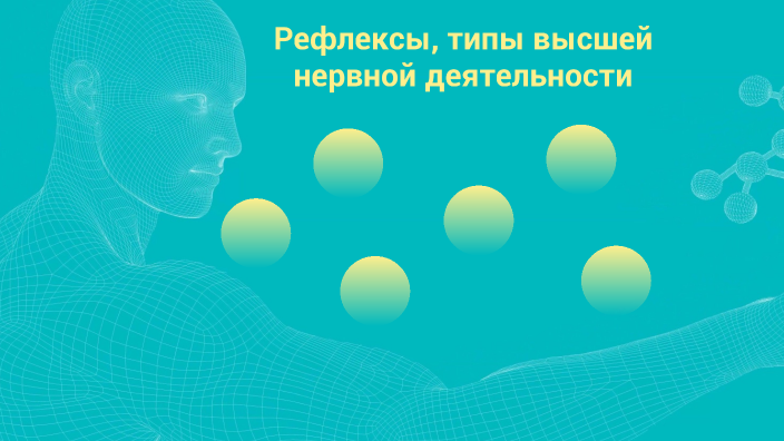 Рефлексы, типы высшей нервной деятельности by Дарья Поликарпова on Prezi
