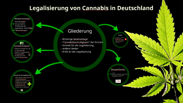 Legalisierung von Cannabis in Deutschland by Marco Lill on Prezi