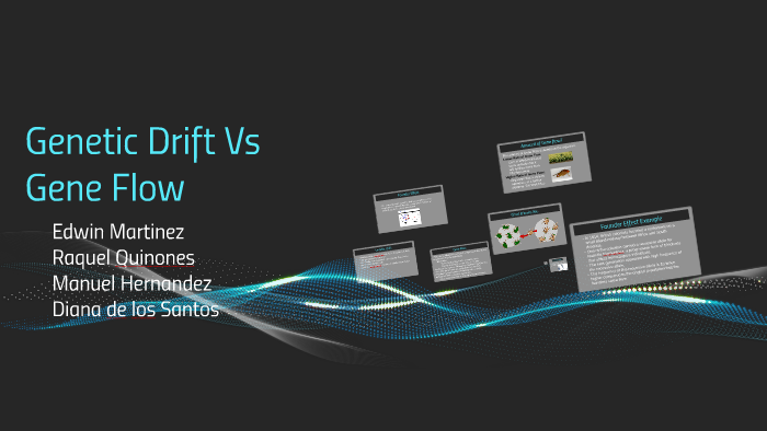 Gene Flow Vs Genetic Drift by manuel Hernandez on Prezi