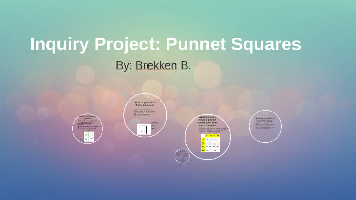 What Is A Punnet Square By Brekken Billman