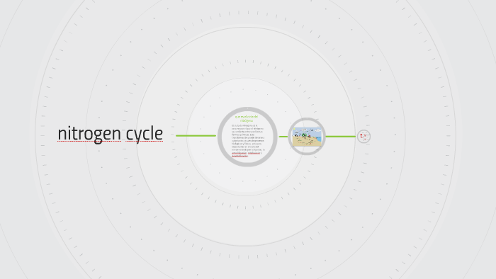 nitrogen cycle by Sergio Andres Reyes Martinez on Prezi