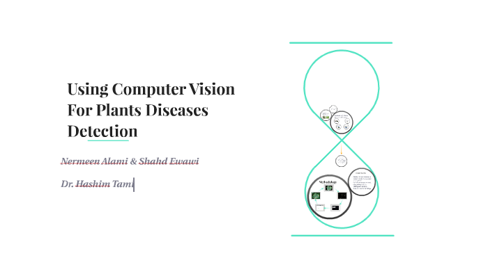 Using Computer Vision For Plants Diseases Detection by Nermeen Alami on ...