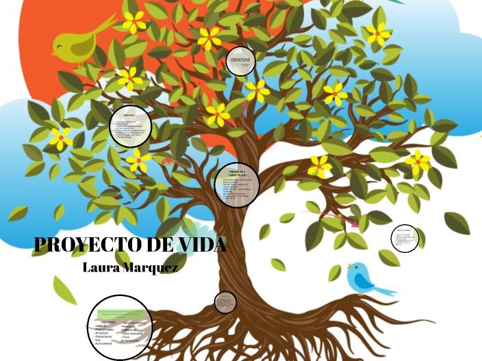 proyecto de vida by laura marquez on Prezi