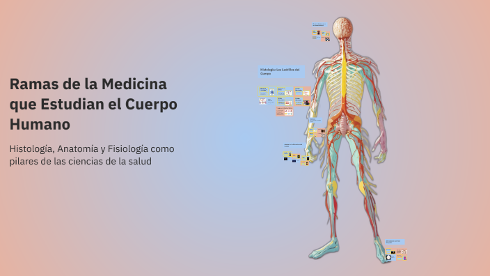 Ramas de la Medicina que Estudian el Cuerpo Humano by Adriana Aguero