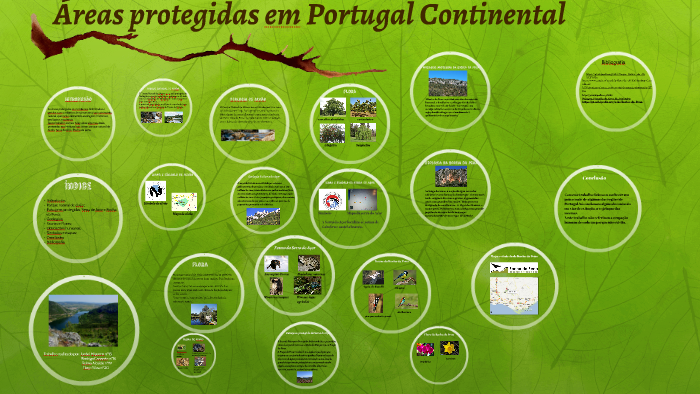 Áreas protegidas em Portugal by rodrigo cananao on Prezi