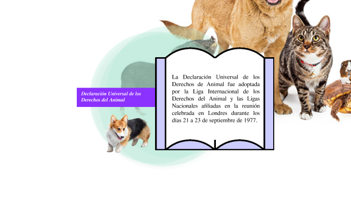derechos de los animales by DESIREE ROMERO FERRER on Prezi
