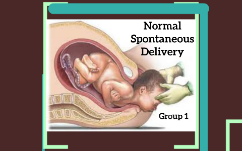 Sample Charting For Normal Spontaneous Delivery