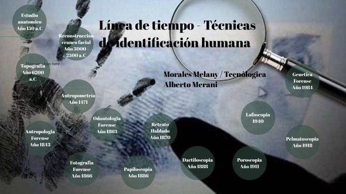 Técnicas De Identificación Humana Y Arte Forense By Melany Morales On Prezi