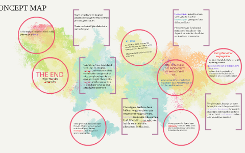 Concept Map by Hillary H on Prezi