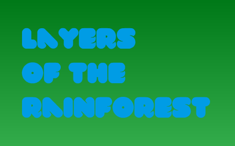 Layers of the rainforest by Vicky Dix on Prezi