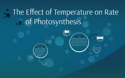 temperature affecting the rate of photosynthesis experiment