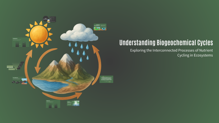 Understanding Biogeochemical Cycles by Myles Belletto on Prezi
