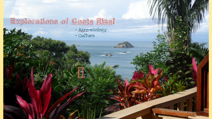 Explorations of Costa Rica by Laura Mills